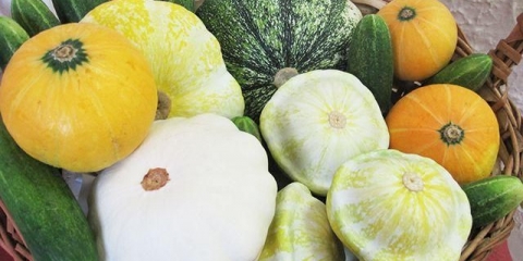 Što je bolje: tikvice ili tikvice